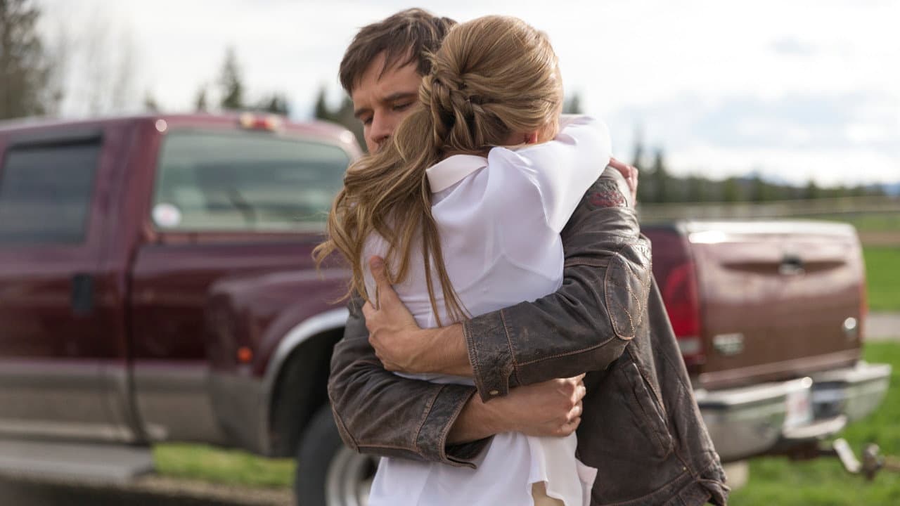Heartland - Season 8 (Import)