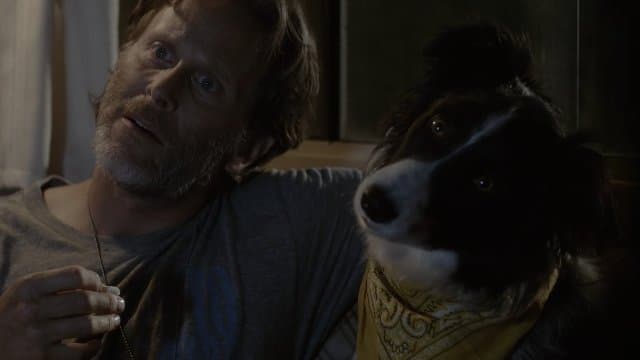 Dog Named Duke. A (Import)