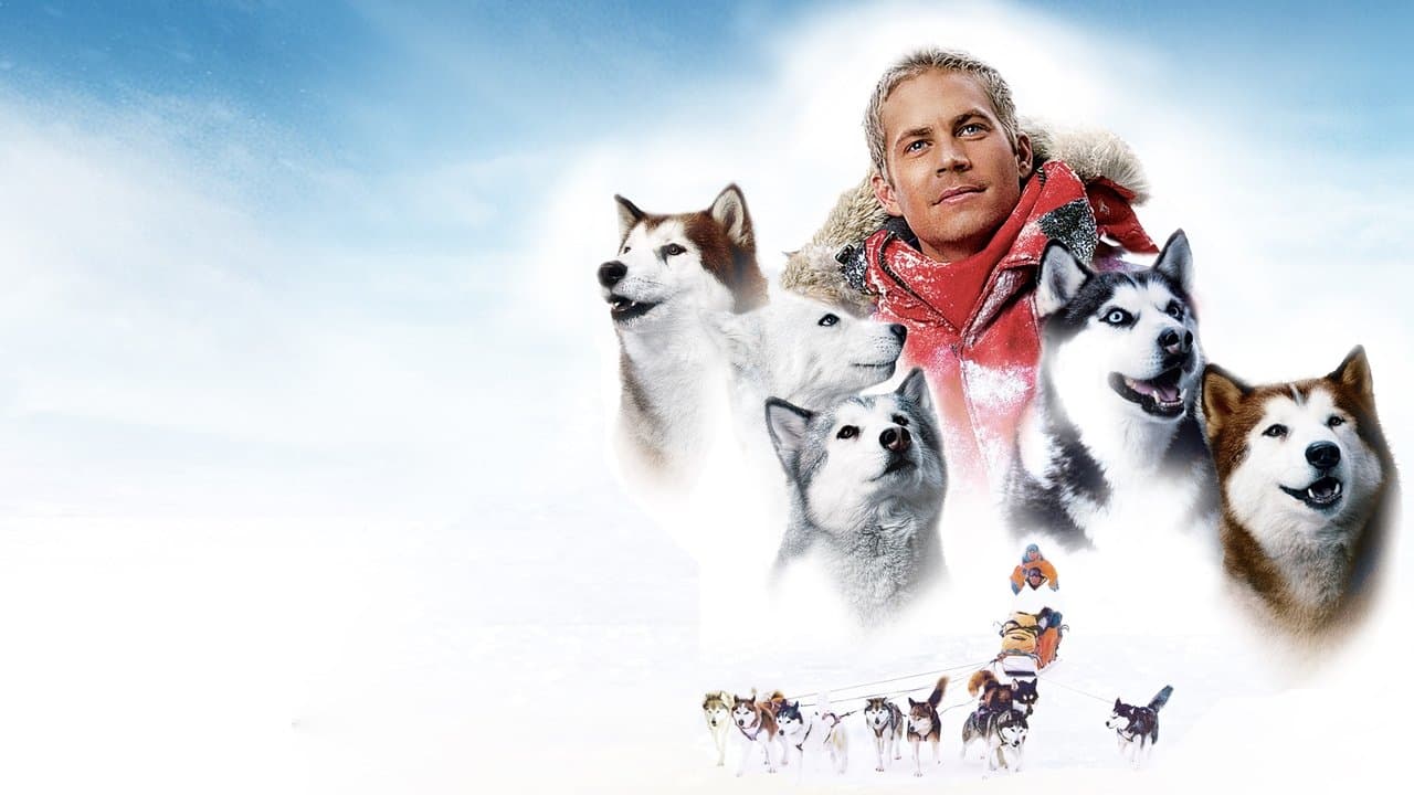 Eight Below (Import)
