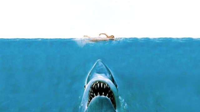 Jaws (Import)