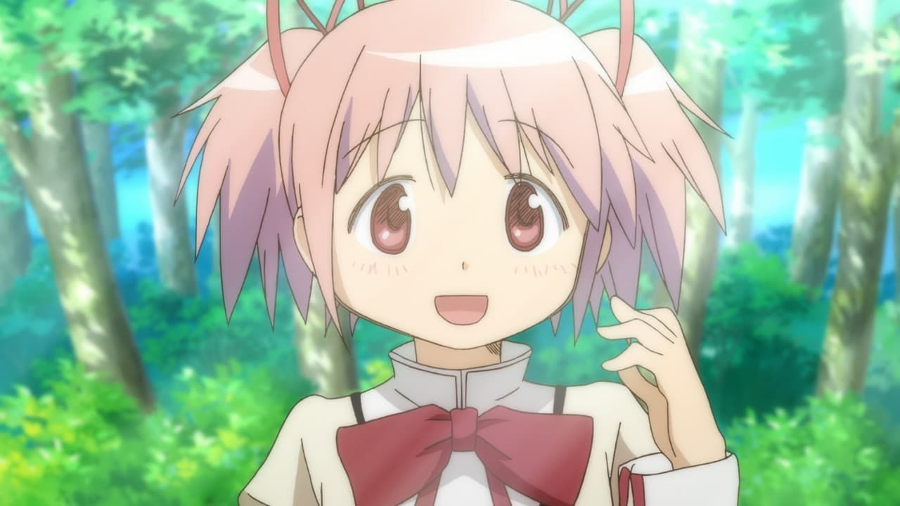 Puella Magi Madoka Magica Complete Series Collection (Import)