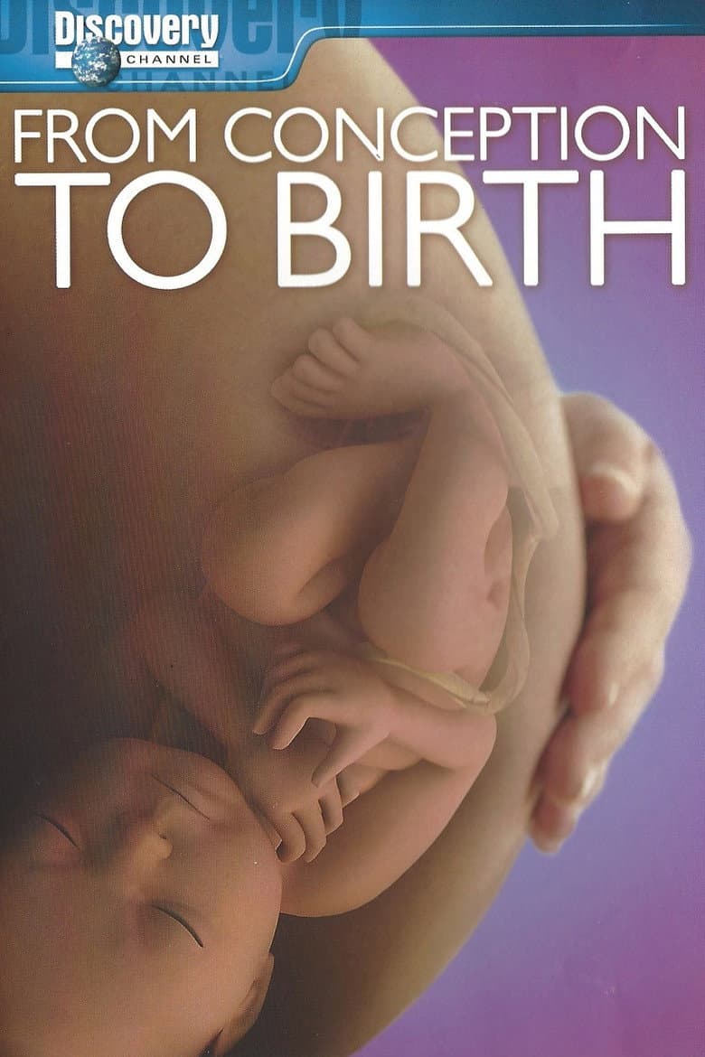 From Conception To Birth (Blu-ray)