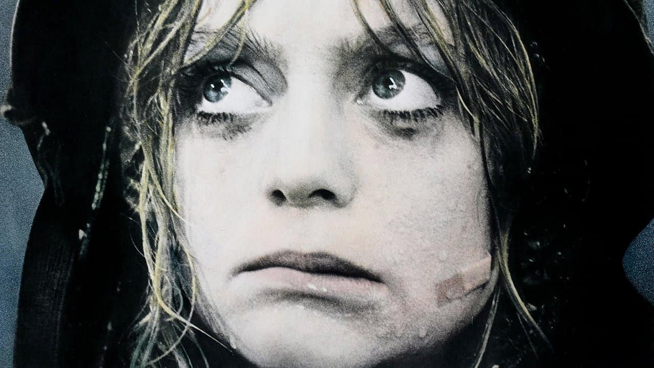 Private Benjamin (Import)