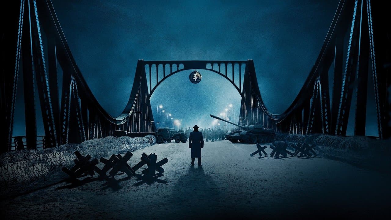Bridge Of Spies (Import)