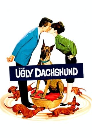 Ugly Dachshund, The (Import)