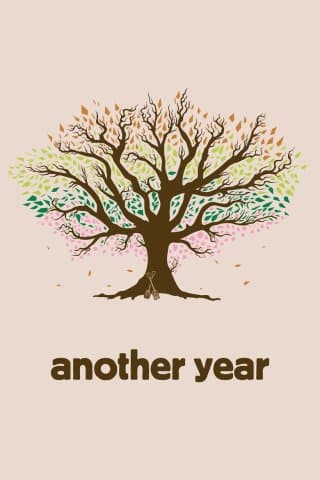 Another Year (DVD)