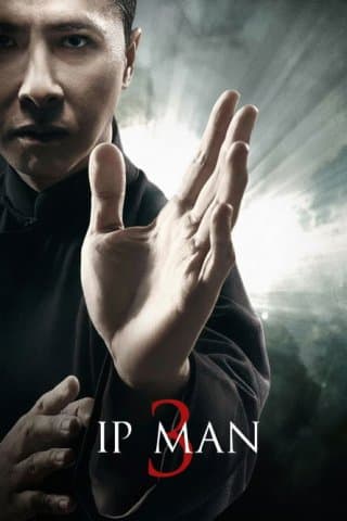 Ip Man 3 (Import)