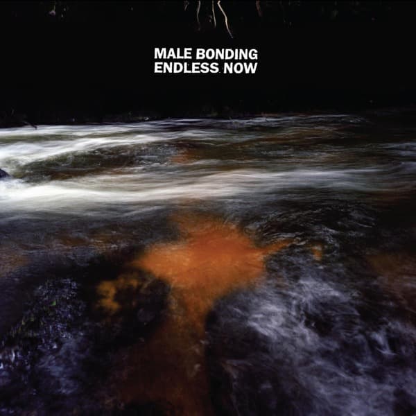 Male Bonding - Endless Now (LP)