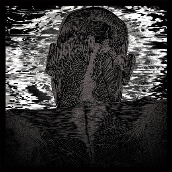 Asher Levitas - Lit Harness (CD)