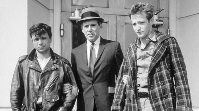 In Cold Blood (1967) (Import)