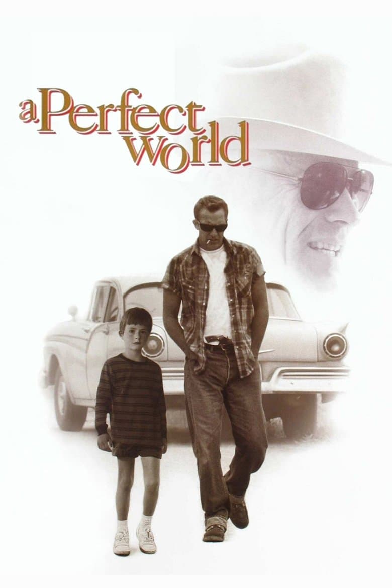 Perfect World, A (Import)