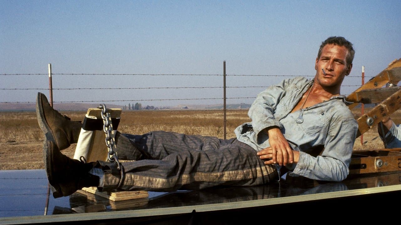 Cool Hand Luke (Import)