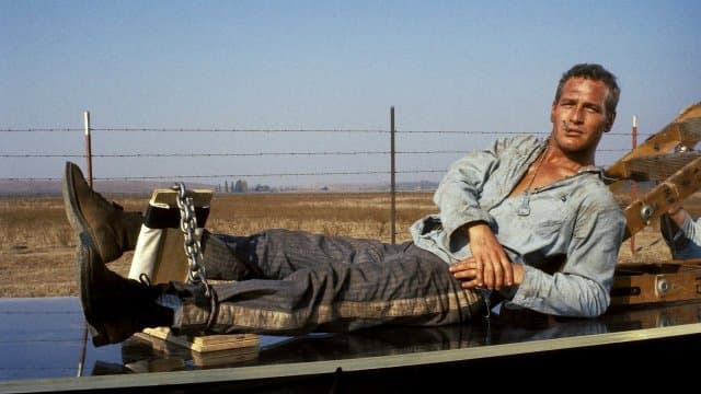 Cool Hand Luke (Import)