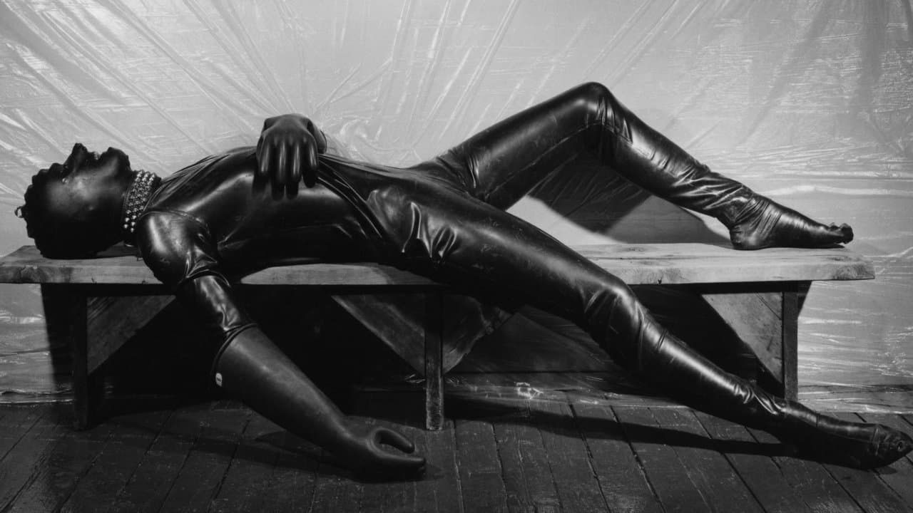Mapplethorpe: Look At The Pictures (Import)
