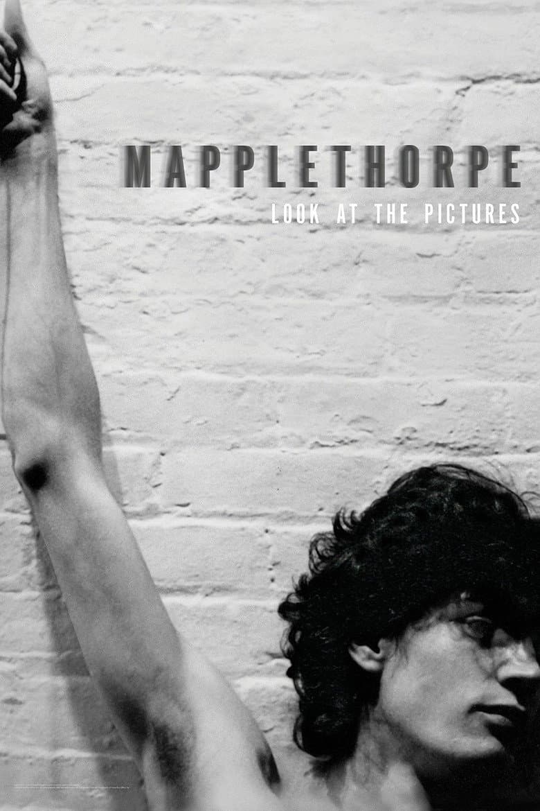 Mapplethorpe: Look At The Pictures (Import)