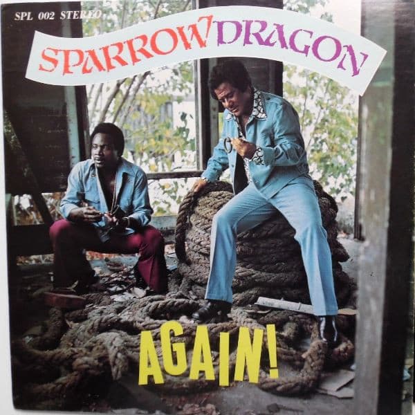 Sparrow Dragon Again