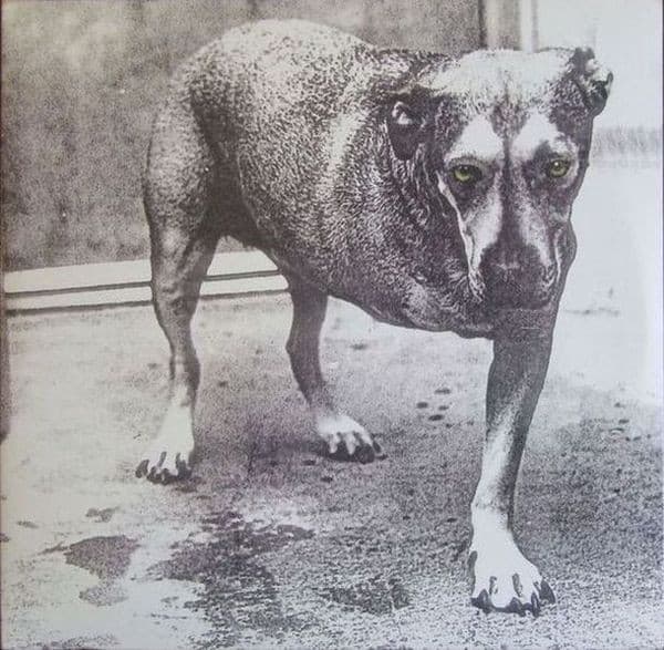 Alice In Chains
