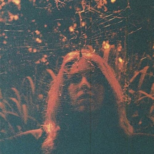 Peripheral Vision