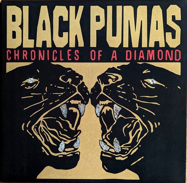 Chronicles Of A Diamond