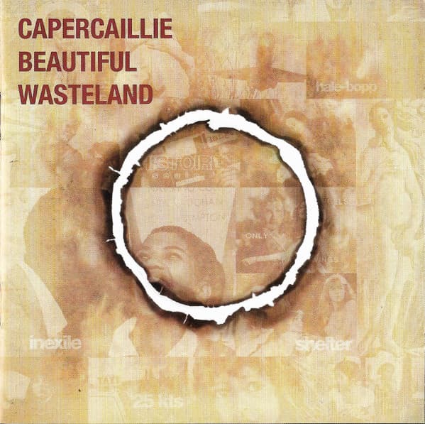 Beautiful Wasteland