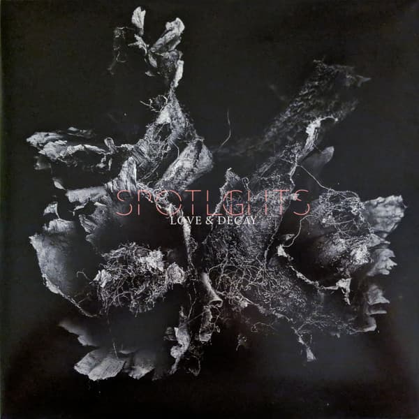 Love & Decay