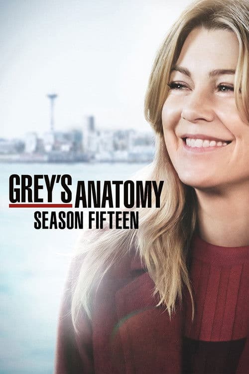Grey's Anatomy - Season 15