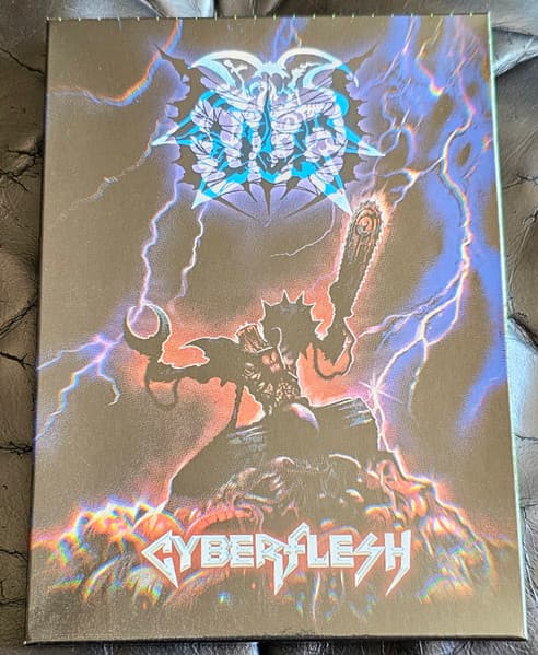 Cyberflesh