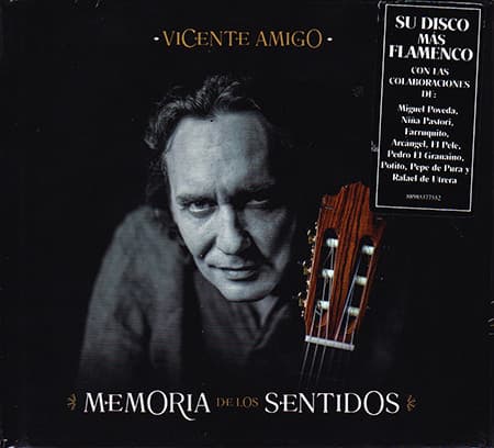 Memoria De Los Sentidos