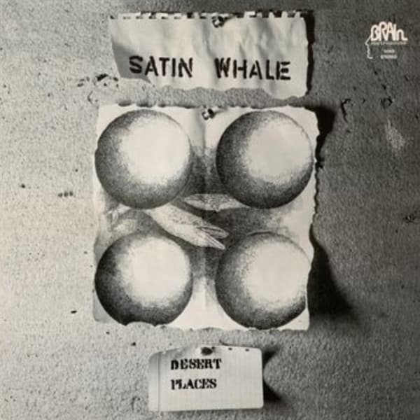 Satin Whale - Desert Place (LP)