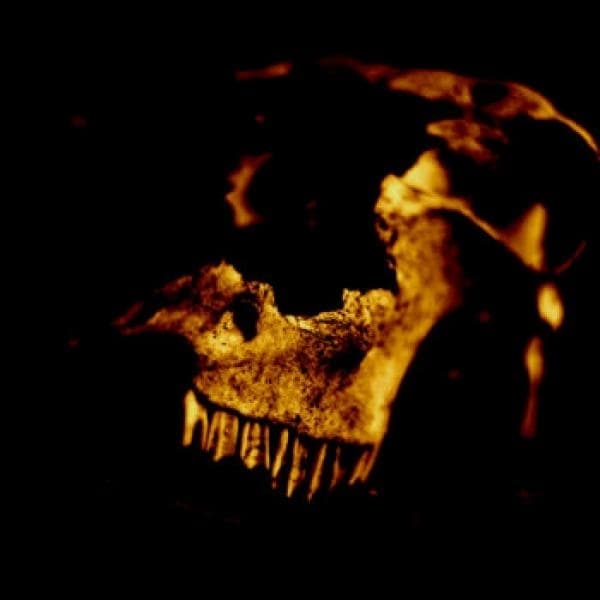 Kardeathian - Kardeathian