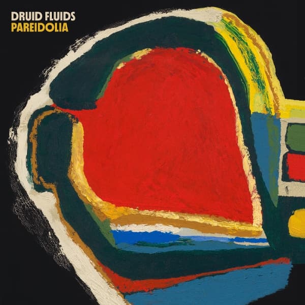 Druid Fluids - Pareidolia (2 LP) (Coloured Vinyl)